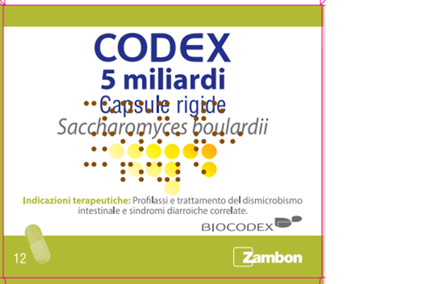 CODEX*12CPS 5MLD 250MG - Farmacia Artemisia di Montecuollo Dott. Angelo snc