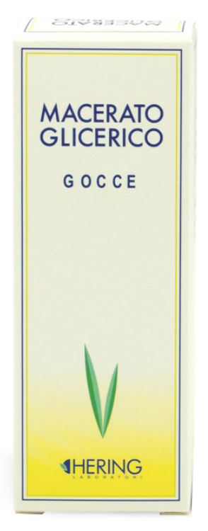 TILIA TOMENTOSA GEMME MACERATO GLICERICO 60 ML - Farmacia Artemisia di Montecuollo Dott. Angelo snc