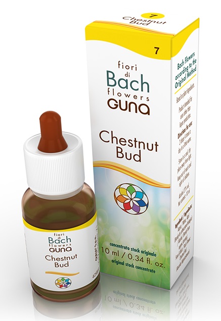 CHESTNUT BUD GOCCE 10 ML - Farmacia Artemisia di Montecuollo Dott. Angelo snc