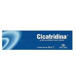 CICATRIDINA POMATA 30 G - Farmacia Artemisia di Montecuollo Dott. Angelo snc