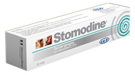 STOMODINE GEL GENGIVALE CANI 30 ML - Farmacia Artemisia di Montecuollo Dott. Angelo snc