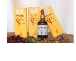 BETULLA LINFA 100 ML MACERATO GLICERINATO - Farmacia Artemisia di Montecuollo Dott. Angelo snc