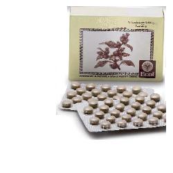 CIMICIFUGA 50 TAVOLETTE 500 MG - Farmacia Artemisia di Montecuollo Dott. Angelo snc