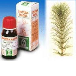 EQUISETO 12 50ML TM - Farmacia Artemisia di Montecuollo Dott. Angelo snc
