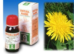 TARASSACO 28 50ML TM - Farmacia Artemisia di Montecuollo Dott. Angelo snc