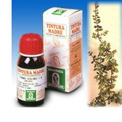 UVA URSINA 30 50ML TM - Farmacia Artemisia di Montecuollo Dott. Angelo snc