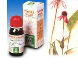 ECHINACEA 59 50ML TM - Farmacia Artemisia di Montecuollo Dott. Angelo snc