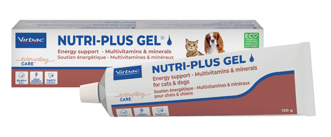 NUTRIPLUS GEL PASTA ORALE 120 G - Farmacia Artemisia di Montecuollo Dott. Angelo snc