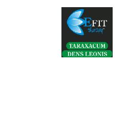 TARAXACUM DENS LEO ESTRATTO FLUIDO 30 ML - Farmacia Artemisia di Montecuollo Dott. Angelo snc