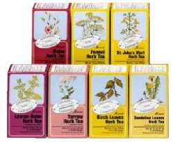 MENTA PIPERITA TIS 15 FILTRI BIO - Farmacia Artemisia di Montecuollo Dott. Angelo snc