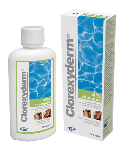 CLOREXYDERM SHAMPOO 4% 250 ML - Farmacia Artemisia di Montecuollo Dott. Angelo snc