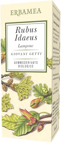 RUBUS IDAEUS LAMPONE BIO 50 ML - Farmacia Artemisia di Montecuollo Dott. Angelo snc
