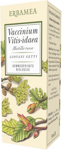 VACCINIUM VITIS IDAEA MIRTILLO ROSSO BIO 50 ML - Farmacia Artemisia di Montecuollo Dott. Angelo snc