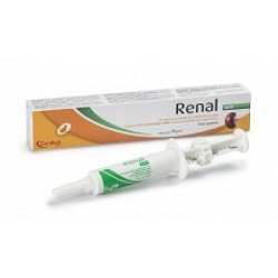 RENAL GATTI PASTA SIRINGA 15 ML - Farmacia Artemisia di Montecuollo Dott. Angelo snc