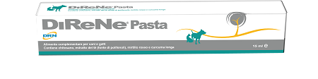 DIRENE PASTA 15 ML - Farmacia Artemisia di Montecuollo Dott. Angelo snc