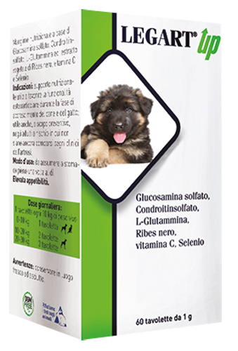 LEGART UP 60 COMPRESSE DA 1 G - Farmacia Artemisia di Montecuollo Dott. Angelo snc