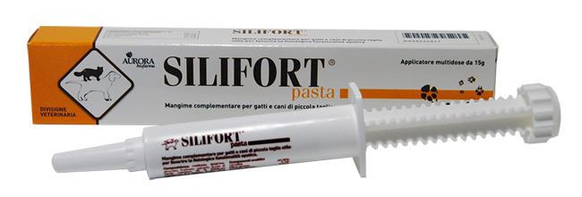 SILIFORT PASTA OS SIRINGA 15 G - Farmacia Artemisia di Montecuollo Dott. Angelo snc