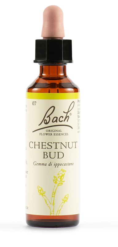 CHESTNUT BUD BACH ORIG 20 ML - Farmacia Artemisia di Montecuollo Dott. Angelo snc
