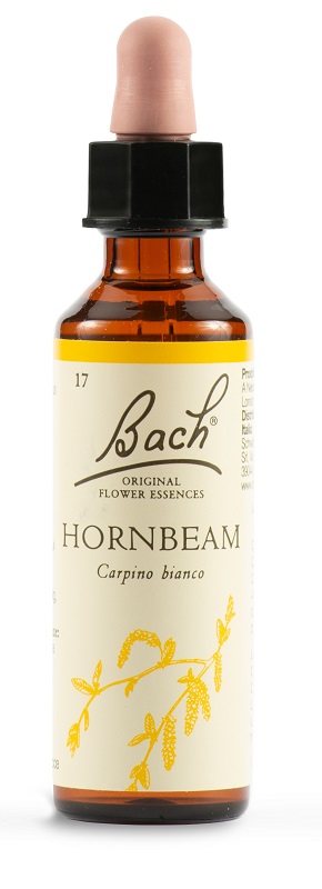 HORNBEAM BACH ORIG 20 ML - Farmacia Artemisia di Montecuollo Dott. Angelo snc