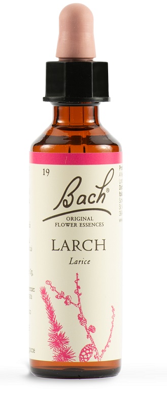 LARCH BACH ORIG 20 ML - Farmacia Artemisia di Montecuollo Dott. Angelo snc