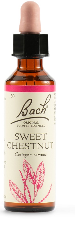 SWEET CHEST BACH ORIG 20 ML - Farmacia Artemisia di Montecuollo Dott. Angelo snc