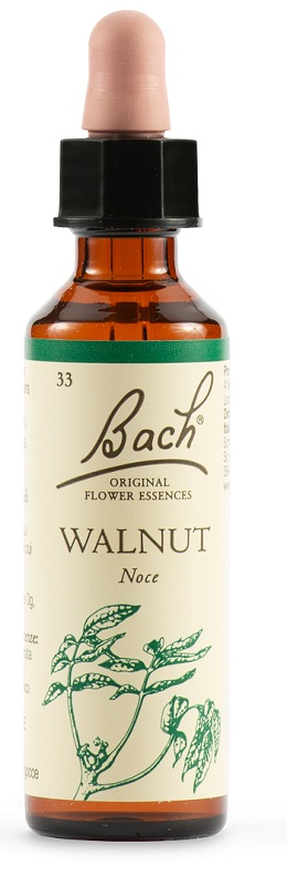WALNUT BACH ORIG 20 ML - Farmacia Artemisia di Montecuollo Dott. Angelo snc