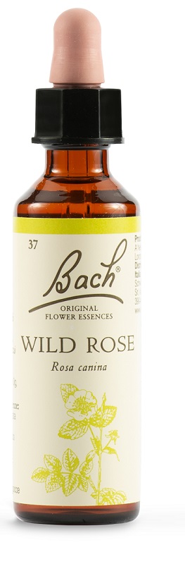 WILD ROSE BACH ORIG 20 ML - Farmacia Artemisia di Montecuollo Dott. Angelo snc