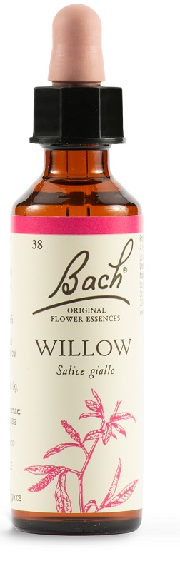 WILLOW BACH ORIG 20 ML - Farmacia Artemisia di Montecuollo Dott. Angelo snc