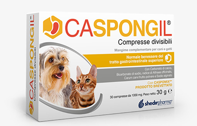 CASPONGIL 30 COMPRESSE DIVISIBILI - Farmacia Artemisia di Montecuollo Dott. Angelo snc