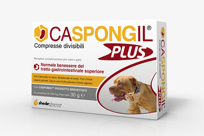 CASPONGIL PLUS 30 COMPRESSE - Farmacia Artemisia di Montecuollo Dott. Angelo snc