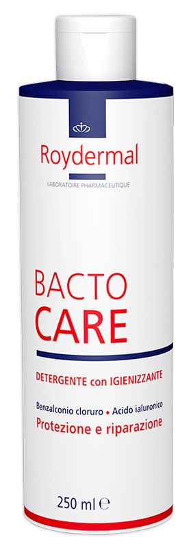 BACTOCARE DETERGENTE IGIENIZZANTE 250 ML - Farmacia Artemisia di Montecuollo Dott. Angelo snc