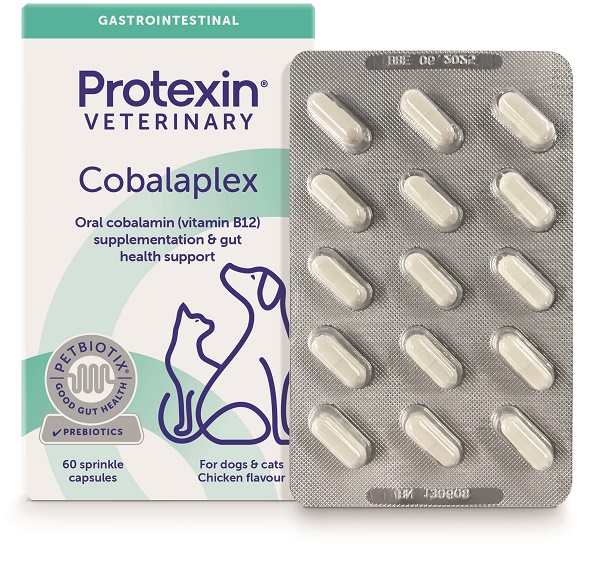 COBALAPLEX 60 CAPSULE - Farmacia Artemisia di Montecuollo Dott. Angelo snc