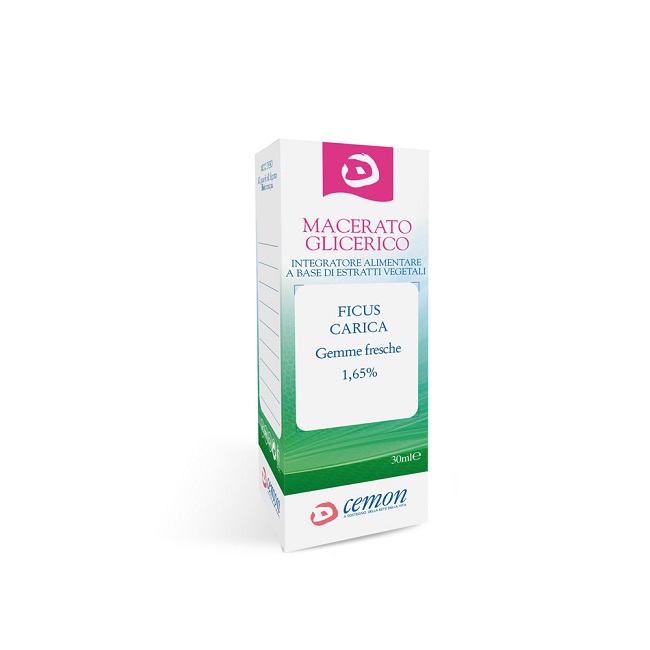 FICUS CARICA GEMME MACERATO GLICERICO 30 ML - Farmacia Artemisia di Montecuollo Dott. Angelo snc