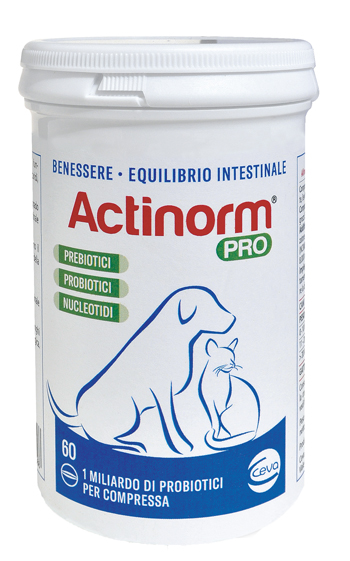 ACTINORM PRO FLACONE 60 COMPRESSE - Farmacia Artemisia di Montecuollo Dott. Angelo snc