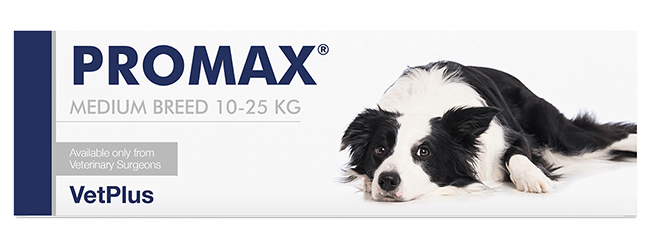 PROMAX MEDIUM BREED 18 ML - Farmacia Artemisia di Montecuollo Dott. Angelo snc