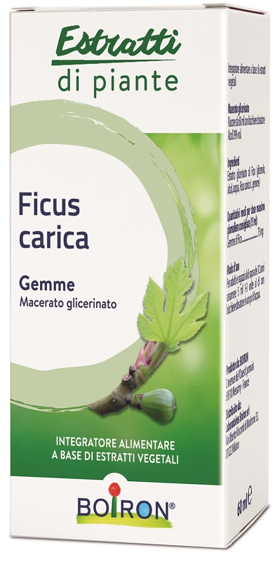 FICUS CARICA BOIRON MACERATO GLICERICO 60 ML - Farmacia Artemisia di Montecuollo Dott. Angelo snc