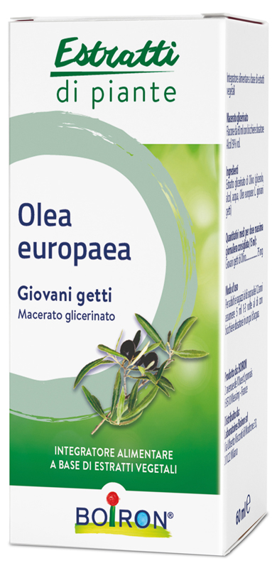 OLEA EUROPAEA BOIRON MACERATO GLICERICO 60 ML - Farmacia Artemisia di Montecuollo Dott. Angelo snc