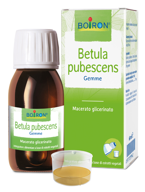 BETULA PUBESC BOIRON MACERATO GLICERICO 60 ML - Farmacia Artemisia di Montecuollo Dott. Angelo snc