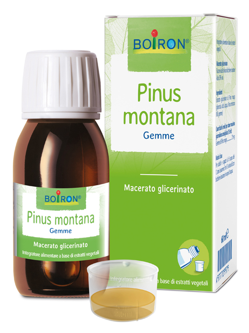 PINUS MONTANA BOIRON MACERATO GLICERICO 60 ML - Farmacia Artemisia di Montecuollo Dott. Angelo snc