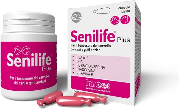 SENILIFE PLUS 60 CAPSULE - Farmacia Artemisia di Montecuollo Dott. Angelo snc