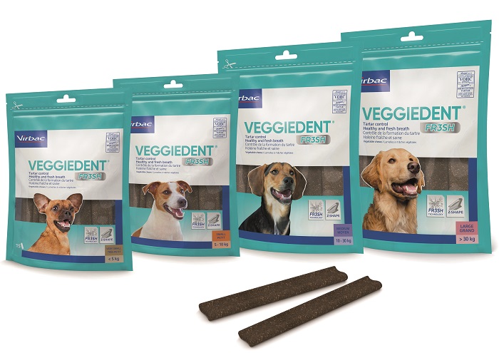 VEGGIEDENT FR3SH M 15 STICK - Farmacia Artemisia di Montecuollo Dott. Angelo snc