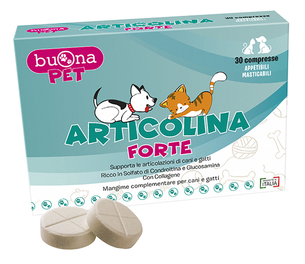 ARTICOLINA FORTE 30 COMPRESSE MASTICABILI - Farmacia Artemisia di Montecuollo Dott. Angelo snc
