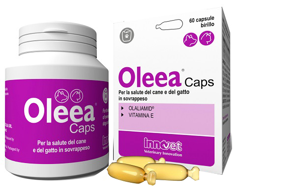OLEEA CAPS 60 CAPSULE - Farmacia Artemisia di Montecuollo Dott. Angelo snc