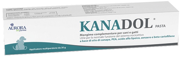 KANADOL PASTA 30 G - Farmacia Artemisia di Montecuollo Dott. Angelo snc
