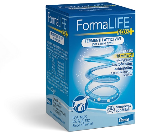 FORMALIFE PLUS FERMENTI LATTICI VIVI 30 COMPRESSE APPETIBILI - Farmacia Artemisia di Montecuollo Dott. Angelo snc
