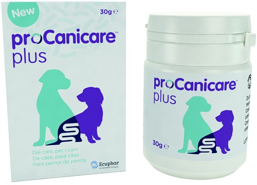 PROCANICARE PLUS 30 G - Farmacia Artemisia di Montecuollo Dott. Angelo snc