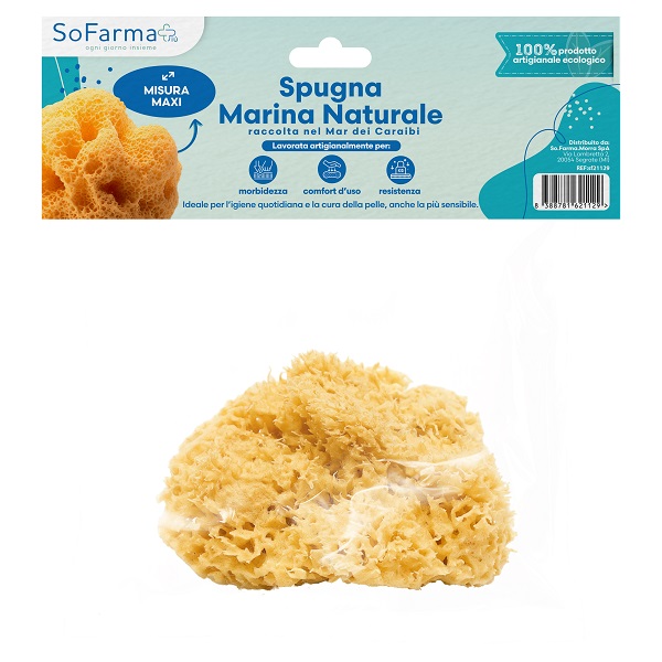 SPUGNA MARINA NATURALE MAXI SOFARMAPIU' - Farmacia Artemisia di Montecuollo Dott. Angelo snc